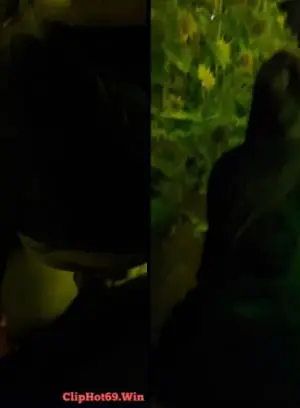 Clip sex Chịch em ở cách đồng hoa hướng dương - Cliphot69